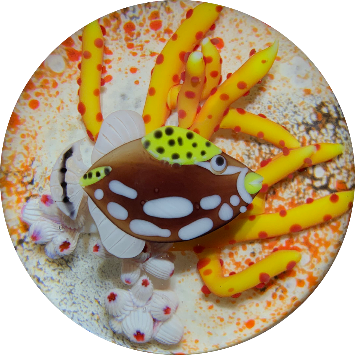 Bruce Sillars for Orient & Flume Flamework Coral with Torchwork Triggerfish