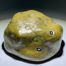 Rare Ro Purser & Richard Marquis 1986 Noble Effort Art Glass Paperweight Murrini on Iridescent Stone