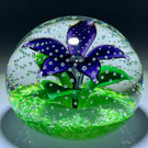 Contemporary John Deacons Purple Flower in the Rain on Green Ground Studio Glass Art Paperweight