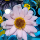 Gordon Smith 2020 Flamework Wild Flower Daisy Bouquet on Transparent Blue Star Cut Base