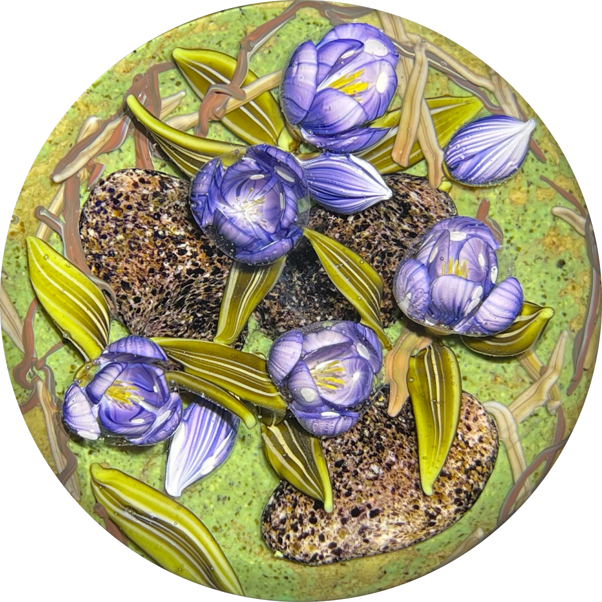 Clinton Smith 2021 Flamework Purple Crocuses With Granite Stones Glass Art Paperweight