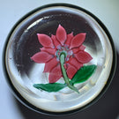 Antique Boston & Sandwich Lampwork Poinsettia on Clear Ground