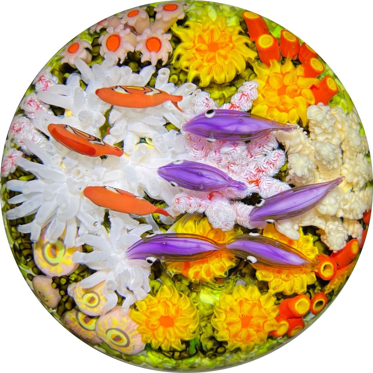 Cathy Richardson 2021 Flamework Coral Reef with Yellow Jewel Anemone & Tropical Fish 1 of 1