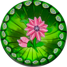 Perthshire Paperweights 1978F Flamework Pink Clematis in Green Stave Basket