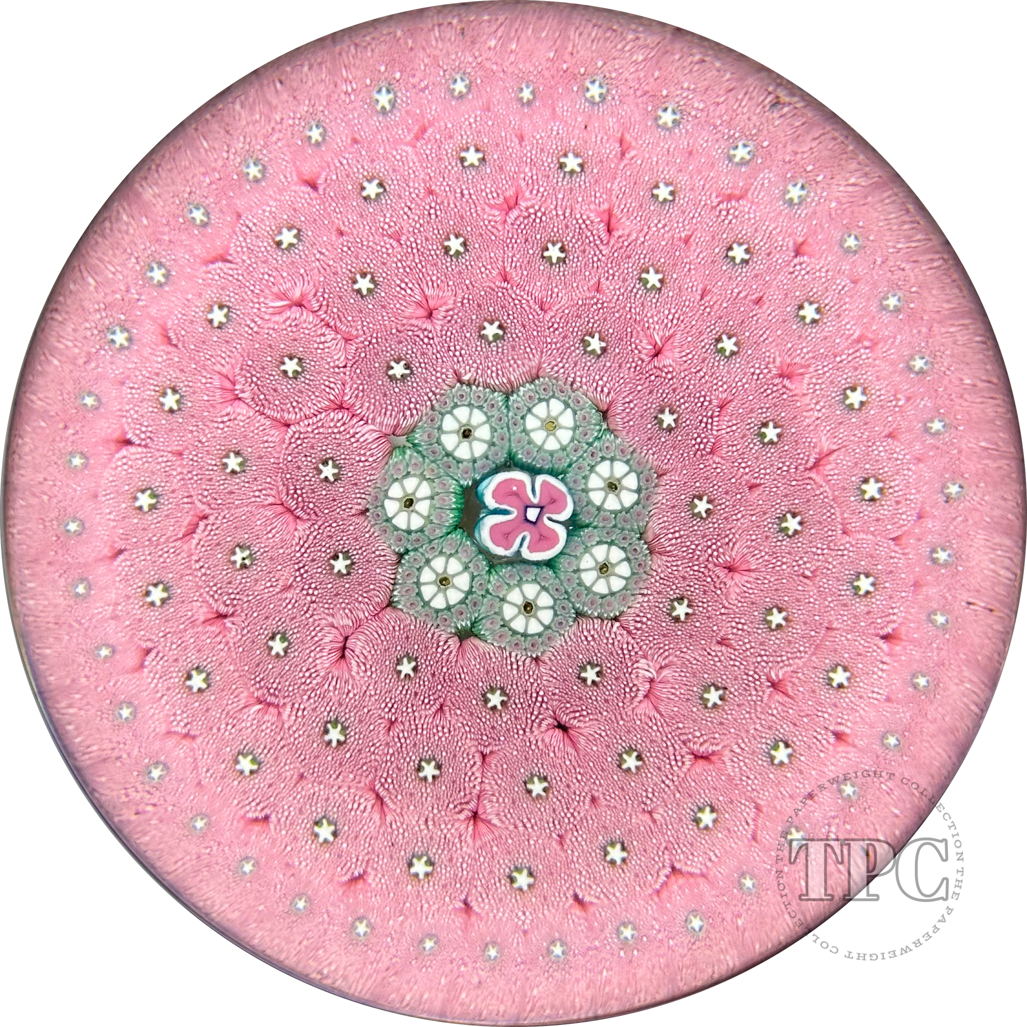 Magnum Damon MacNaught 2023 Glass Art Paperweight Complex Pink Millefiori Carpet Ground with Delicate Blue Center Motif