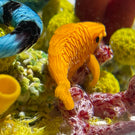 Gordon Smith 2021 Flamework Coral Reef Scene with Krait Sea Snake and Wrasse Fish