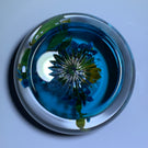 Gordon Smith 2020 Flamework Wild Flower Daisy Bouquet on Transparent Blue Star Cut Base