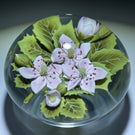 Clinton Smith 2021 Flamework Pink Black Berry Blossoms on Clear Ground