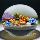 Ken Rosenfeld 2023 Glass Art Paperweight Flamework Yellow & Red Banded Snake on Sand with Pebbles & Perennial Flowers