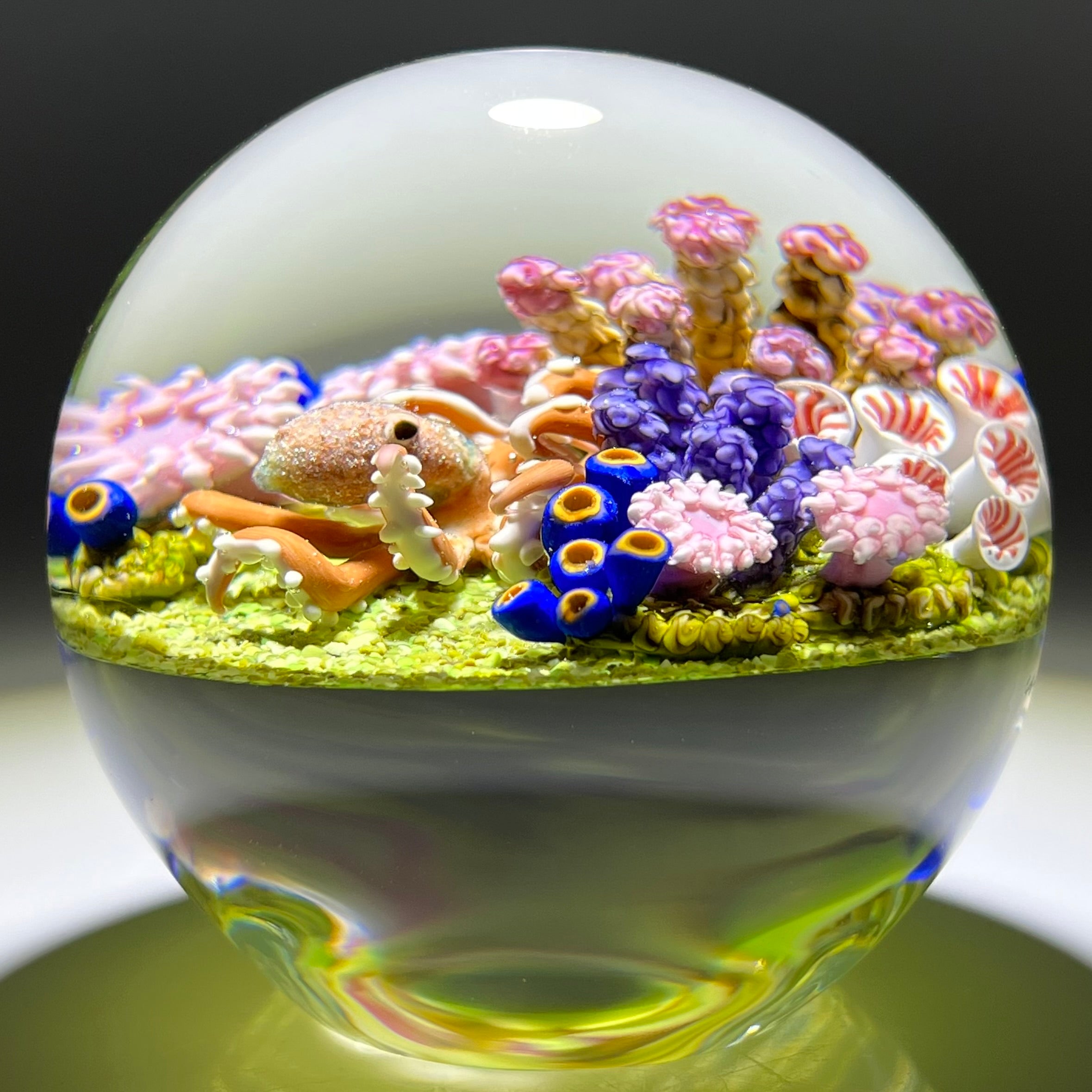 Cathy Richardson 2021 Flamework Glass Art Paperweight Octopus with Cor
