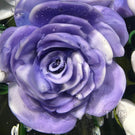 Rick Ayotte 2002 Glass Art Paperweight Flamework Purple & White Rose Bouquet