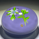 Perthshire Paperweights 1974B LE Flamework Flowers and Buds on Opaque Lavender Ground