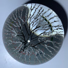Contemporary Alison Ruzsa Art Glass Paperweight Encapsulated Hand Painted Weeping Willow