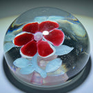 Rare Antique Val St. Lambert Lampwork Red Flower on Clear Ground