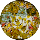 Gordon Smith 2021 Flamework Corn Snake with Succulents and Lichen Covered Rocks