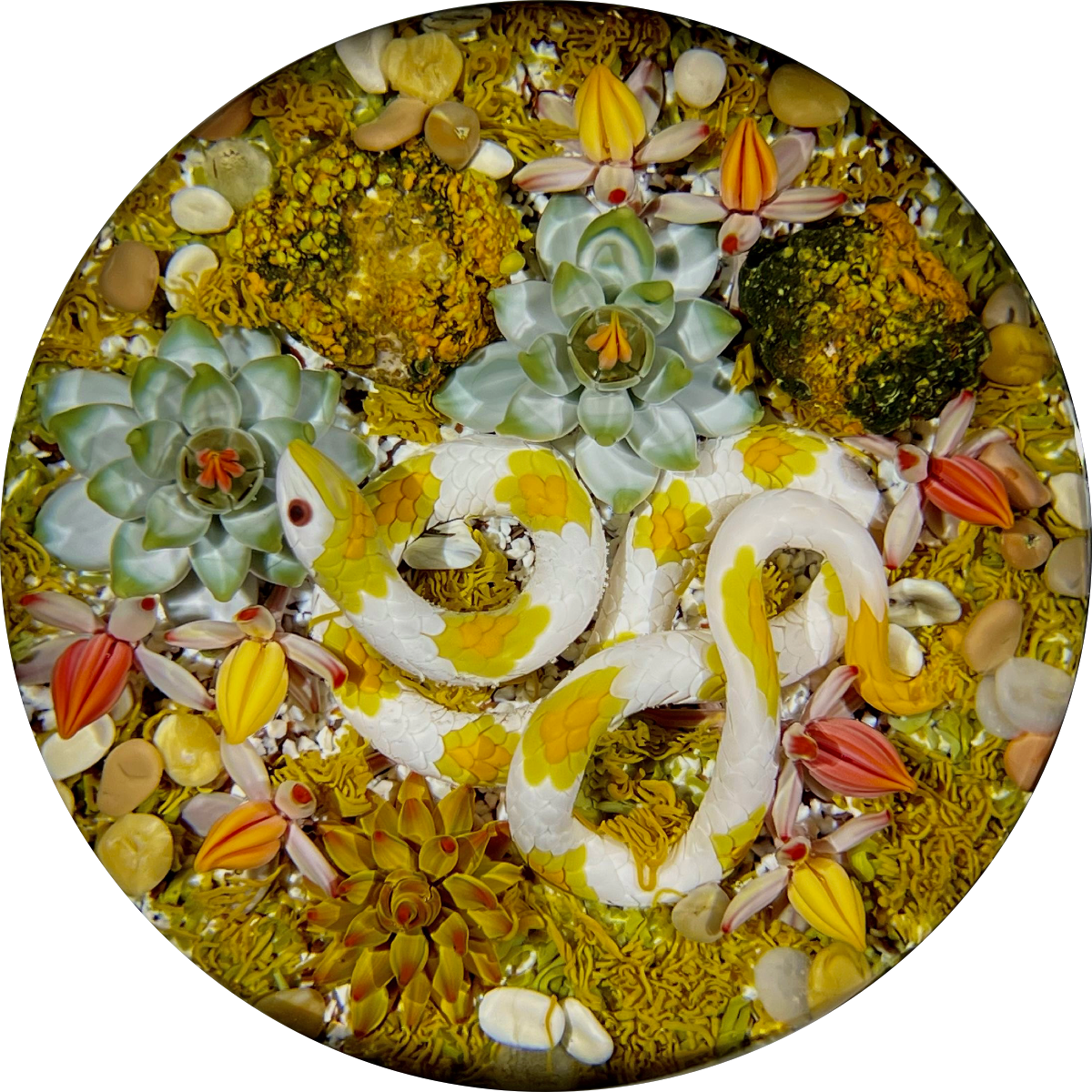 Gordon Smith 2021 Flamework Corn Snake with Succulents and Lichen Covered Rocks