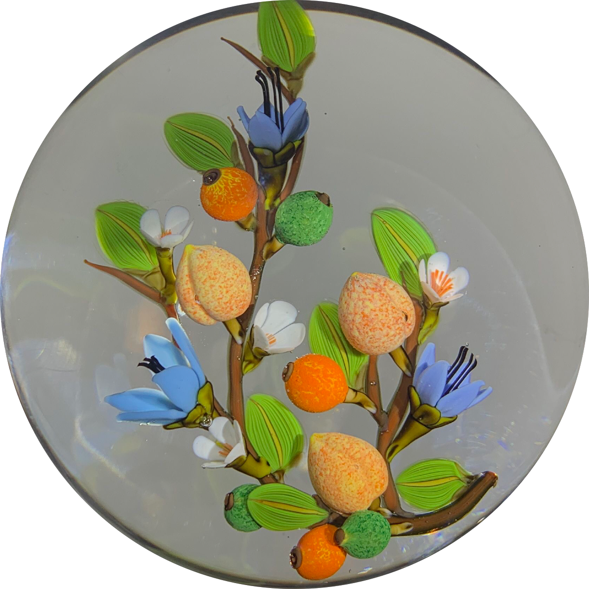 Colin Richardson 2009 Flamework Flowers and Fruits