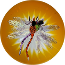 Gordon Smith 2019 Compound Flamework Double Dragonfly Over Star-cut Amber Base