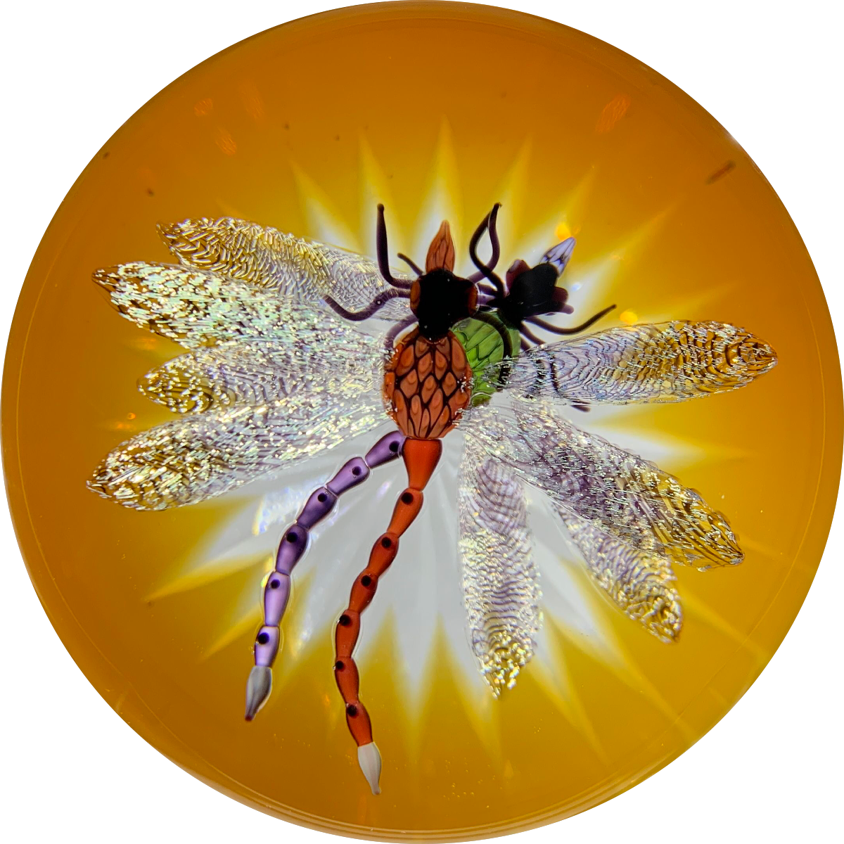Gordon Smith 2019 Compound Flamework Double Dragonfly Over Star-cut Amber Base