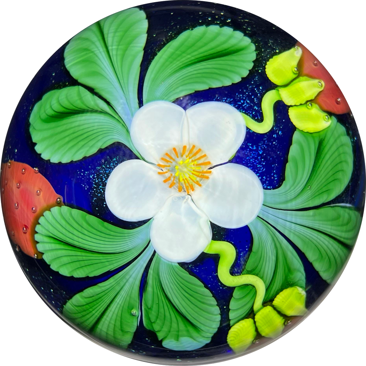 Signed Orient & Flume 1984 Torchwork Strawberries on Dichroic Blue Ground