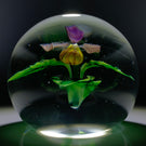 Daniel Salazar Lundberg Studios 1987 Compound Torchwork Purple Lady Slipper