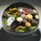 Colin Richardson 2022 Glass Art Paperweight Flamework Deer Skull with Mushrooms "Pathway to Rebirth"