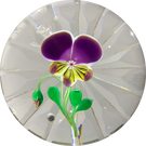 Baccarat 1973 Art Glass Paperweight Lampwork Pansy With Star Cut Base