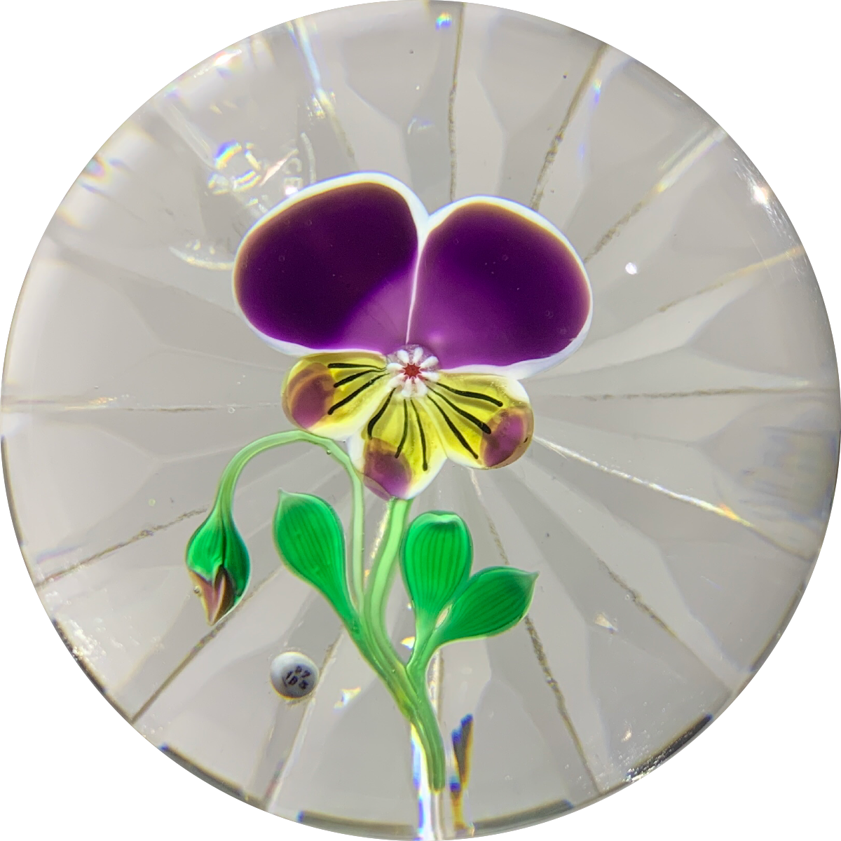 Baccarat 1973 Art Glass Paperweight Lampwork Pansy With Star Cut Base