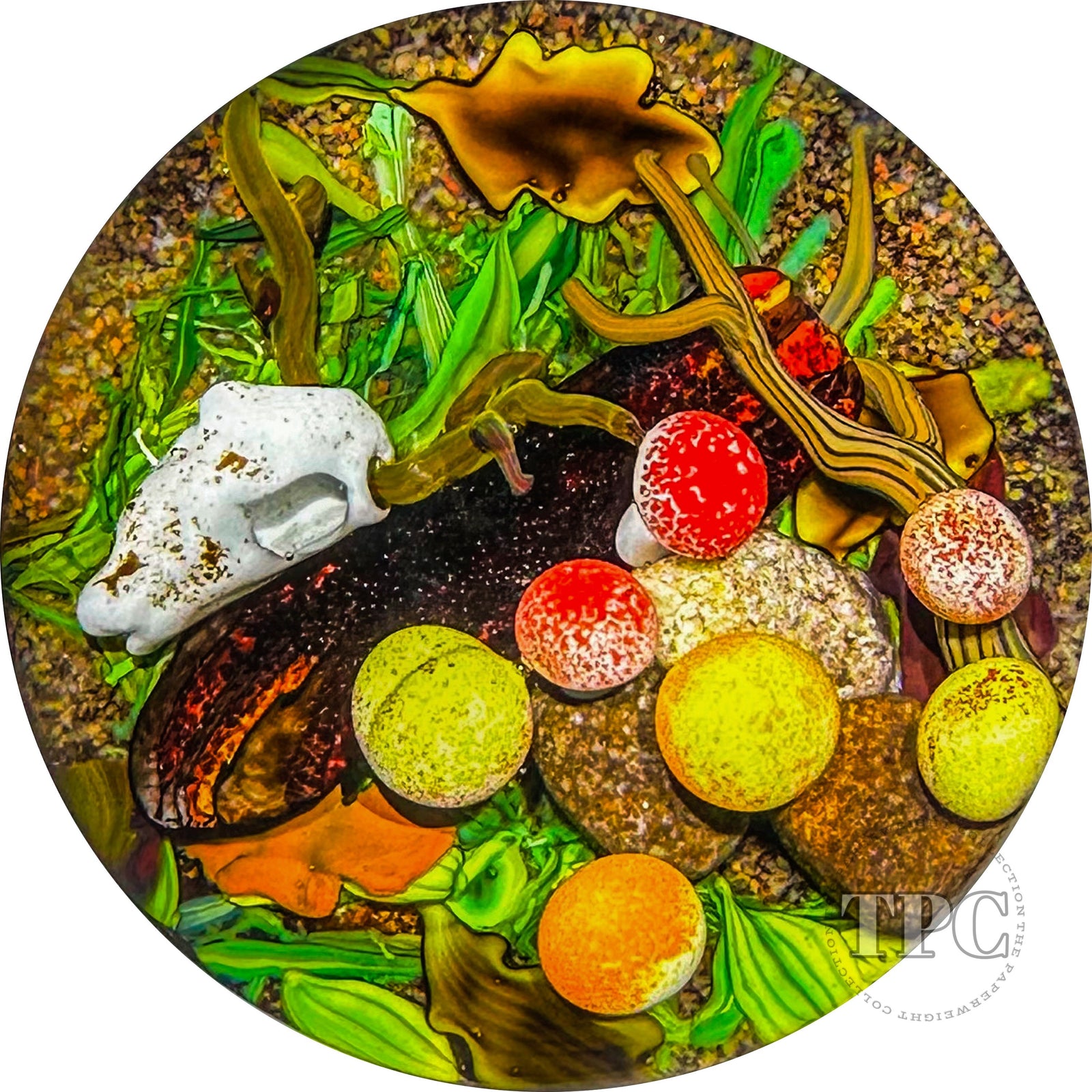 Colin Richardson 2022 Glass Art Paperweight Flamework Deer Skull with Mushrooms "Pathway to Rebirth"