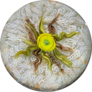 James Hart Flamework Nosegay with Yellow Rose Blossom on white Upset Filligree Ground