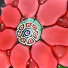 Antique Boston & Sandwich Lampwork Poinsettia on Clear Ground