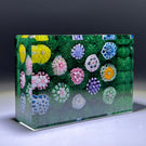 Tomasz Gondek 2020 Glass Art Paperweight Complex Millefiori Moss Ground Plaque