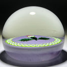 John Deacons Glass Art Paperweight Flamework Scottish Thistle with Aventurine Leaves and Garland of Millefiori on Lavender Ground