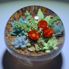 Cathy Richardson 2020 One-Of-A-Kind Miniature Flamework Flowering Cacti & Succulents