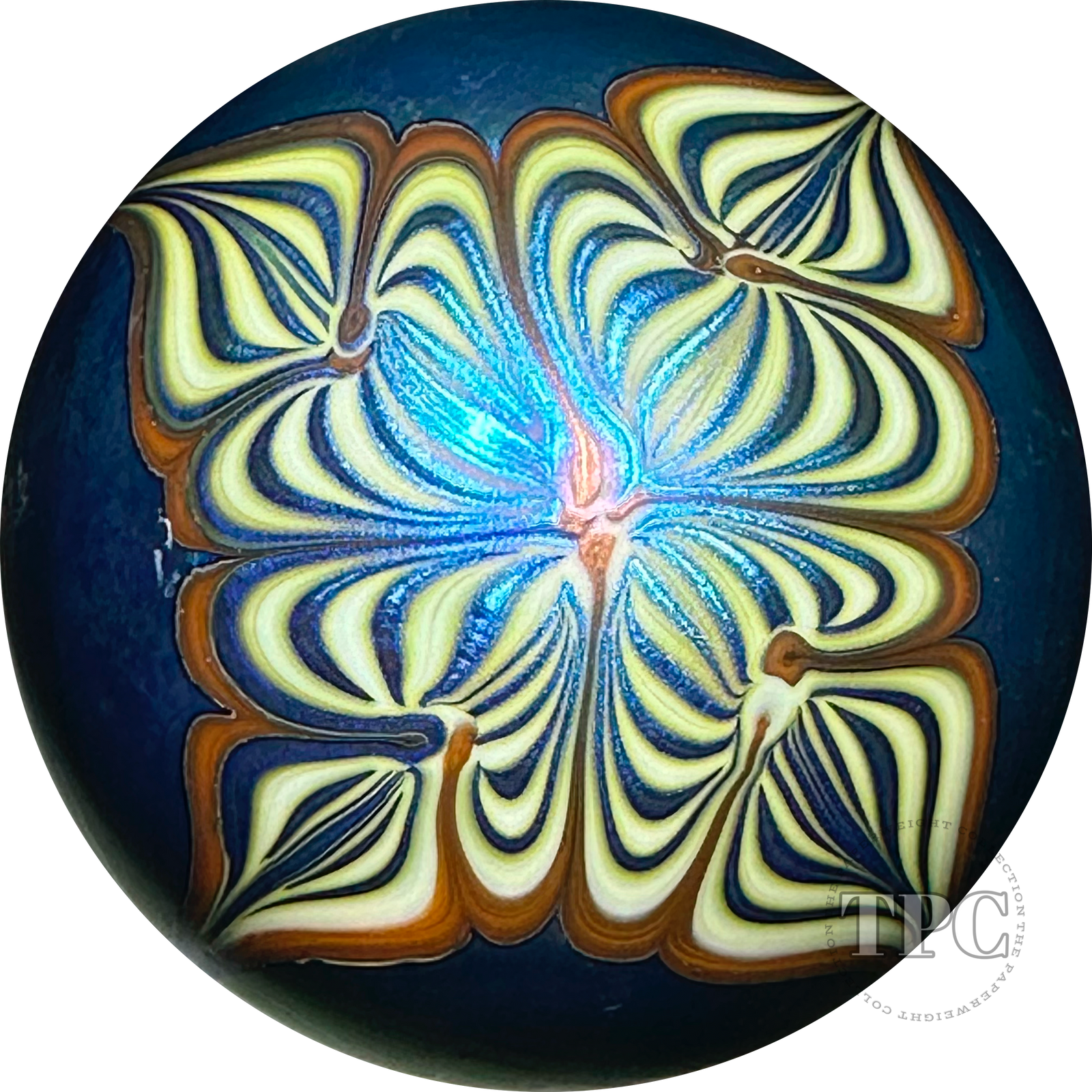 Steven Smyers Northern Star 1975 Glass Art Paperweight Iridescent Surface Decorated Pulled Feather Decoration