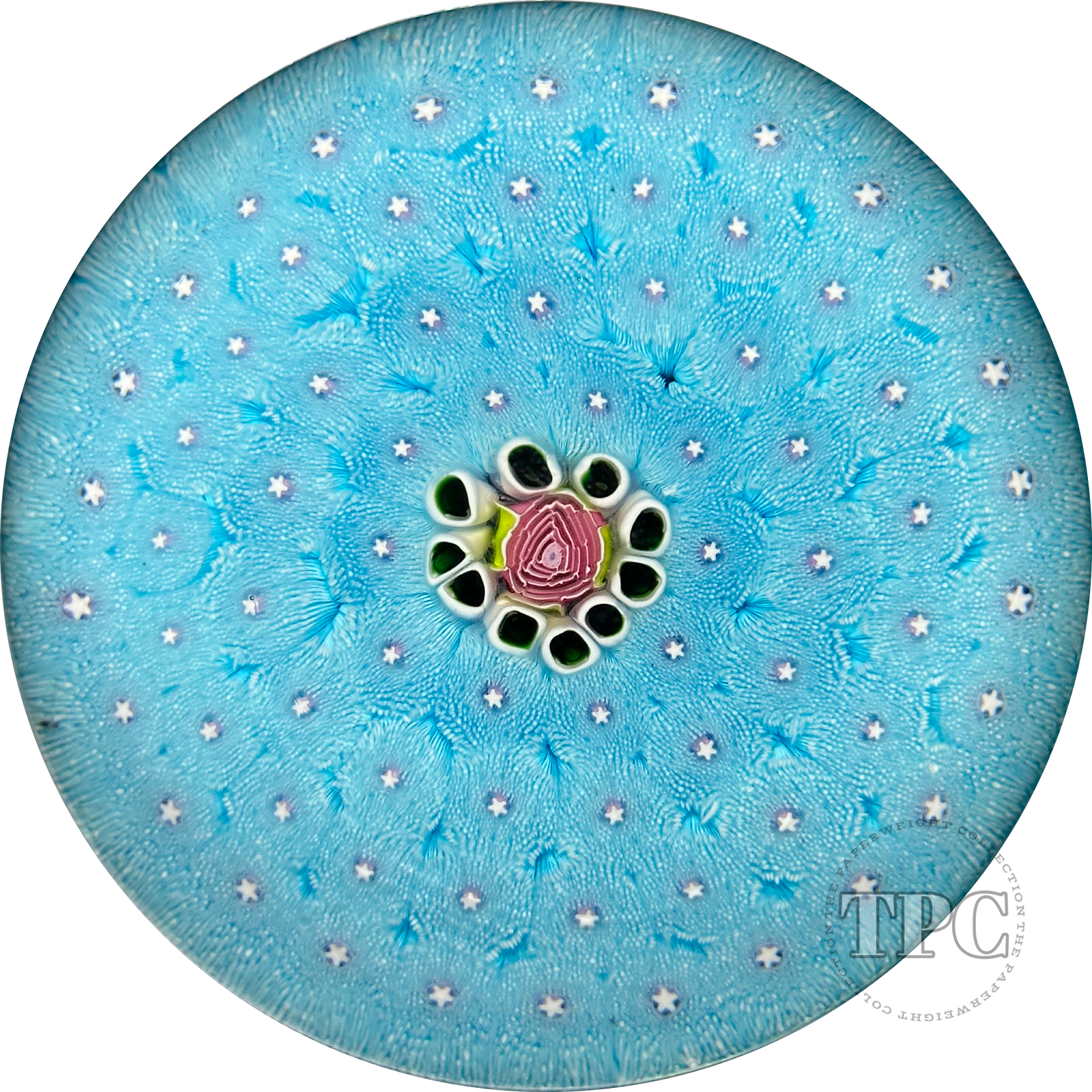 Magnum Damon MacNaught 2023 Glass Art Paperweight Complex Blue Millefiori Carpet Ground with Rose Cane Center