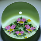 Richard Loesel Flamework Pink & Yellow Pansies on opaque Pistachio Green Ground