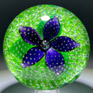 Contemporary John Deacons Purple Flower in the Rain on Green Ground Studio Glass Art Paperweight