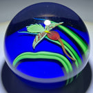 Orient & Flume 1985 Torchwork Lady Slipper Orchid on Blue Ground