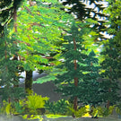 Large Alison Ruzsa 2021 Lovers In Redwood Forest Encapsulated Hand-Painted Enamels