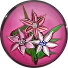 John Deacons J Glass 1979 Flamework Flower Bouquet with Transparent Ruby Res Ground