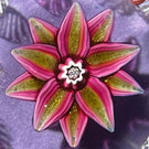 Harland Era Paul Ysart Attributed Flamework Pink & Aventurine Clematis on Lilac Ground with Filigree Radials