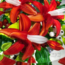 LE Rick Ayotte 1988 Faceted Glass Art Paperweight Flamework Christmas Cactus Bloom